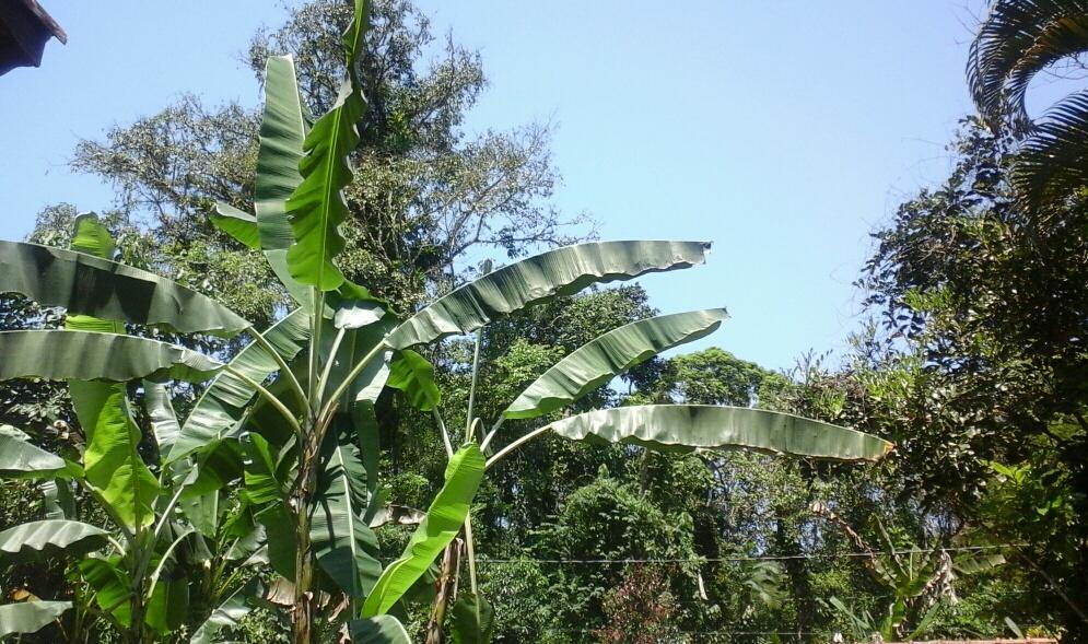 Chales Bangalos Itamambuca Ubatuba Luaran gambar