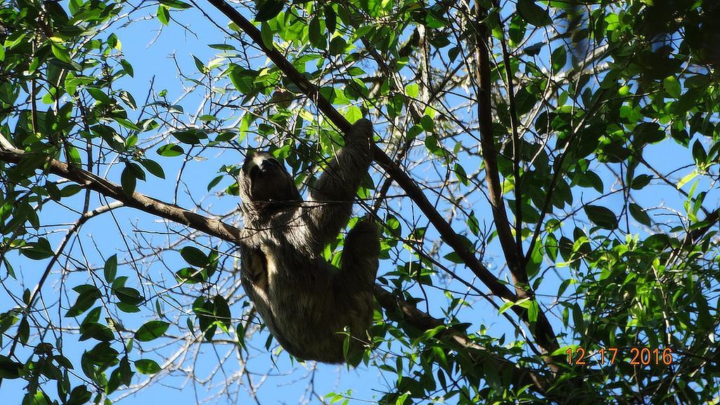 Chales Bangalos Itamambuca Ubatuba Luaran gambar